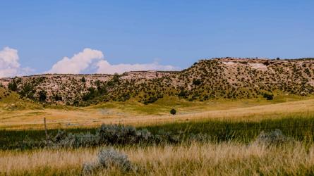 Cottonwood Draw Habitat Management Area in Platte County, WY. 