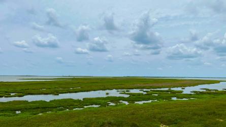 Shallow water winds through a wide green coastal marsh.