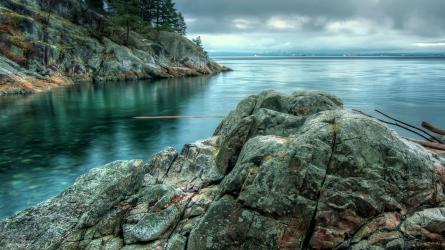 A rocky coastline with evergreen trees overlooks calm coastal water.