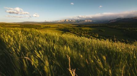 A broad grassland and forest landscape stretches toward mountains beneath an open sky.