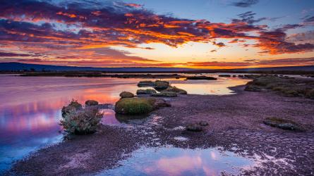 A colorful sunset reflects across tidal marsh channels, mudflats and shallow water.