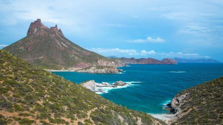 A rocky desert coastline with cactus-covered slopes borders bright blue ocean water.