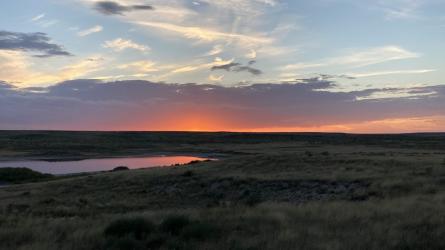 A shallow wetland sits within open grassland beneath a colorful sunset sky.