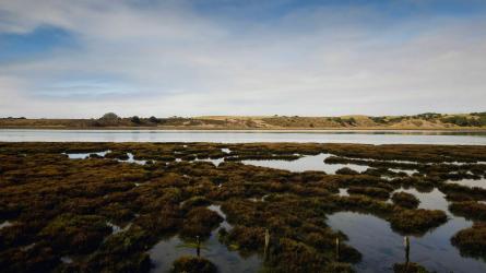 A coastal wetland with open water channels, marsh vegetation and low hills beneath a cloudy sky.