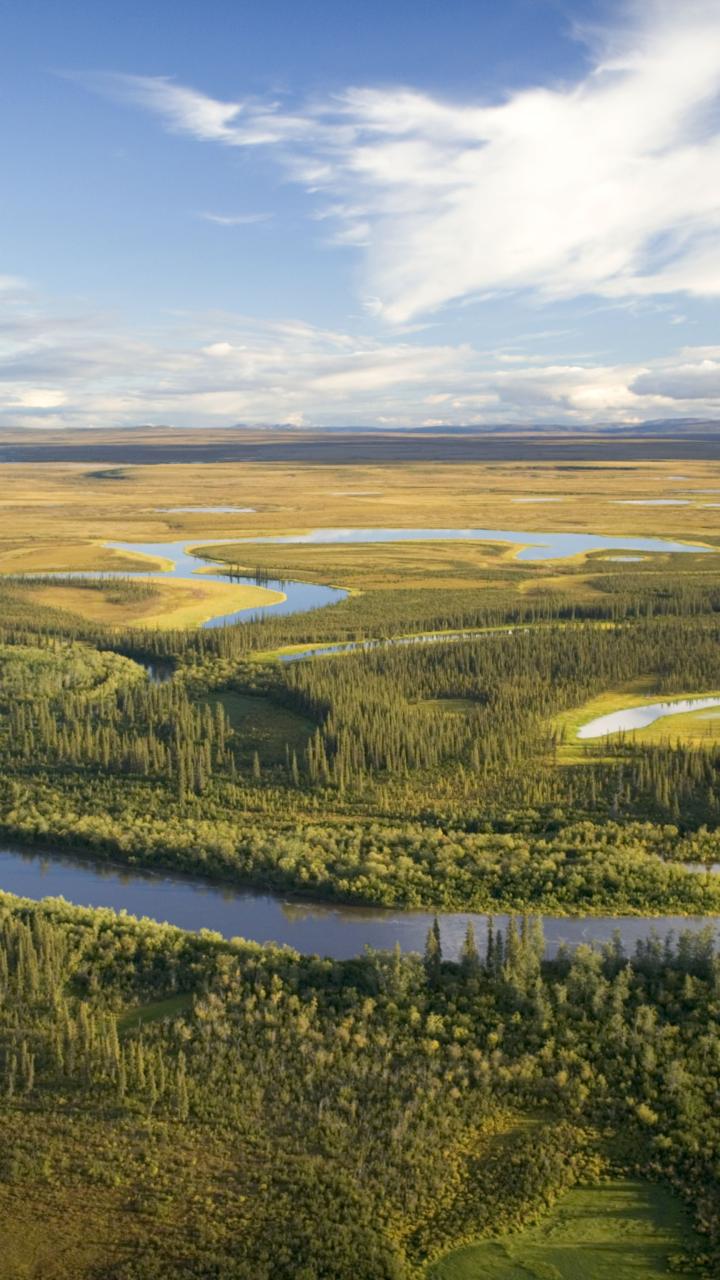An aerial view shows a winding river, lakes and wetlands across a broad Alaska landscape.
