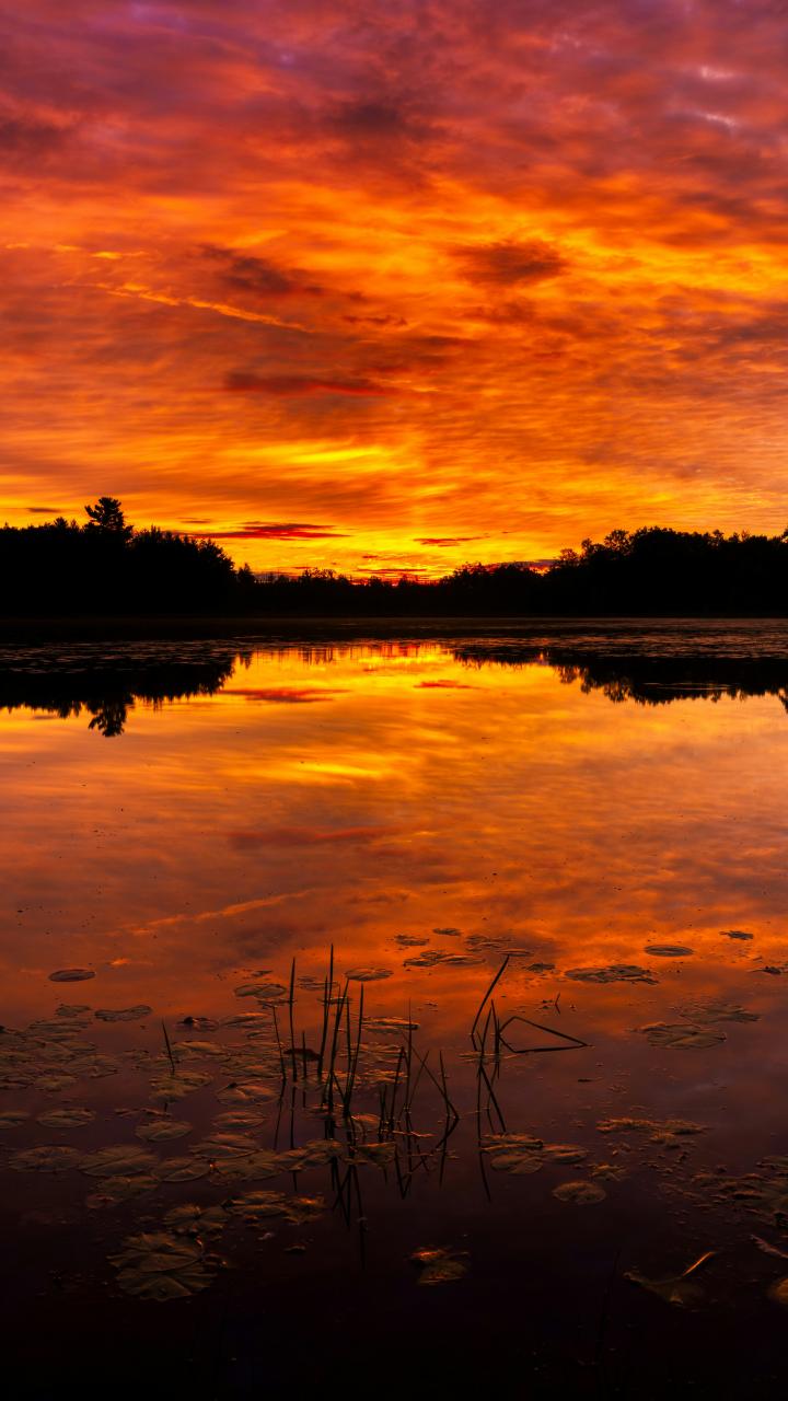 A vivid orange sunset reflected on still wetland water at Governor Thompson State Park in Wisconsin.