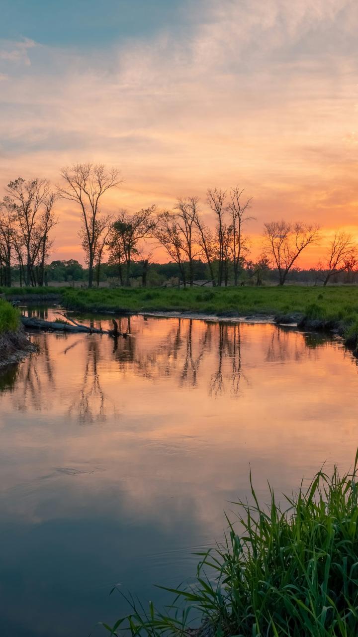 A winding wetland stream at sunset in Mitchell Park, Brookfield, Wisconsin, with trees reflected in calm water.