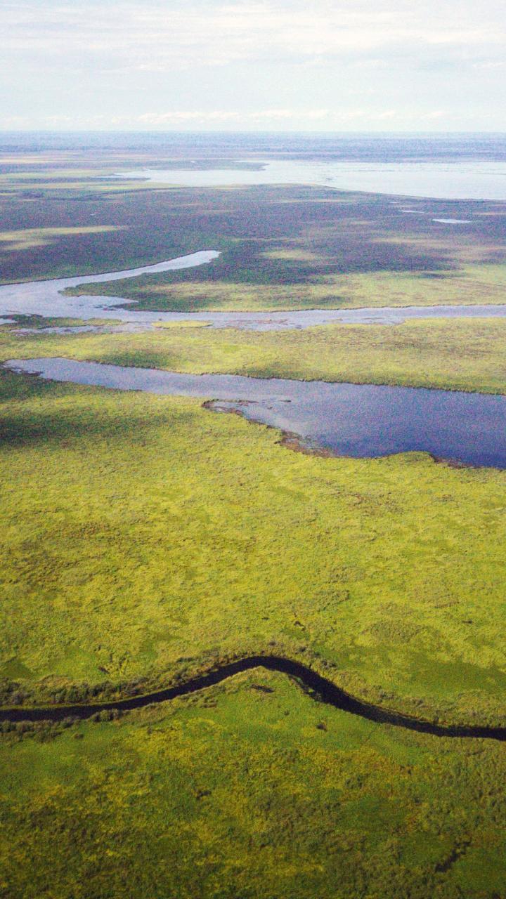 Aerial view of muskeg wetlands, forest and open water across a broad landscape in Saskatchewan, Canada.