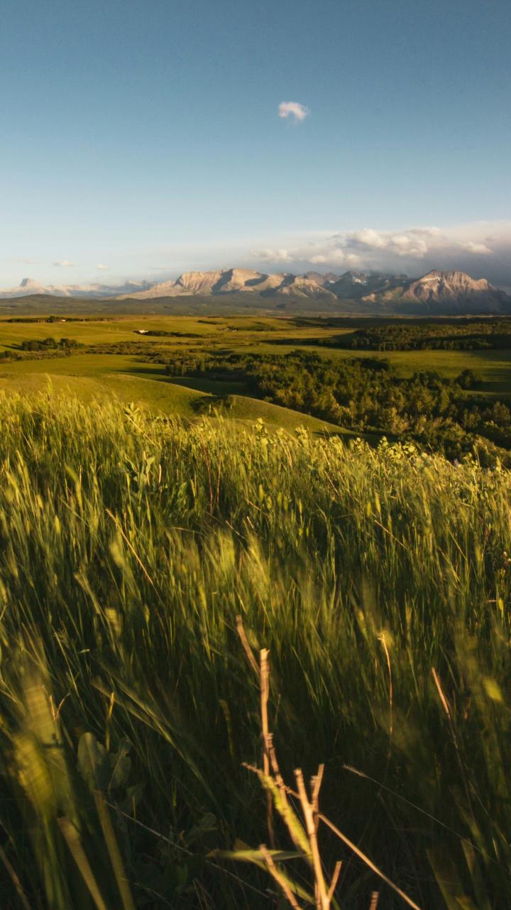 A broad grassland and forest landscape stretches toward mountains beneath an open sky.