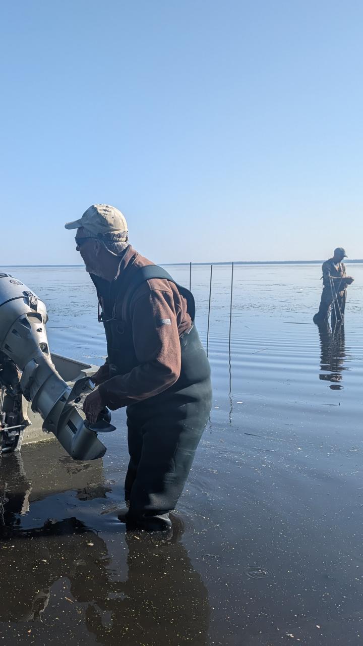 Two researchers work from a flat-bottomed boat in shallow water, setting up trail cameras at a waterfowl bait site in Alberta, Canada.