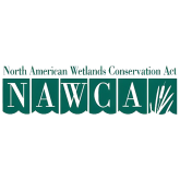 Logo for North American Wetlands Conservation Act