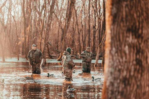 Three waterfowl hunters stand in flooded timber among duck decoys, surrounded by standing trees and shallow water.