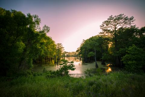 Cypress wetland in Mississippi at sunset, with trees reflected in still water.
