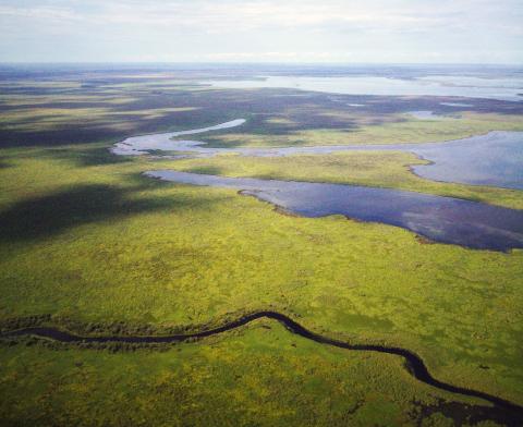 Aerial view of muskeg wetlands, forest and open water across a broad landscape in Saskatchewan, Canada.