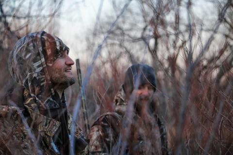 Two waterfowl hunters wearing camouflage sit among tall wetland brush.