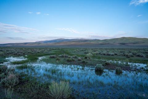 A restored wetland meadow with shallow water, grasses, sagebrush, and distant hills near Koosharem, Utah.