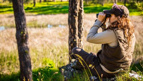 A USFWS biologist uses binoculars during a waterfowl survey at Turnbull National Wildlife Refuge.