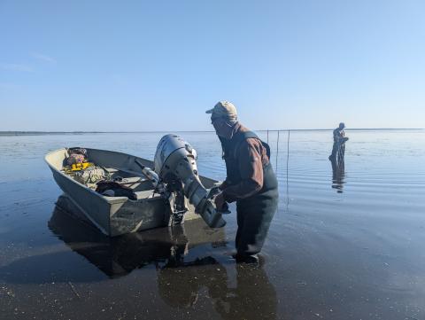 Two researchers work from a flat-bottomed boat in shallow water, setting up trail cameras at a waterfowl bait site in Alberta, Canada.