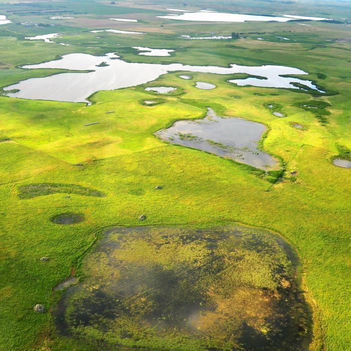 Shallow wetland basins are scattered across a broad grassland landscape.