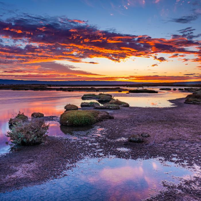A colorful sunset reflects across tidal marsh channels, mudflats and shallow water.