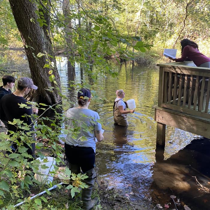Students collect field notes and observe shallow water habitat during an ecology field trip.