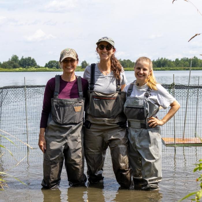 Three members of a waterfowl banding crew standing in shallow water near banding equipment.
