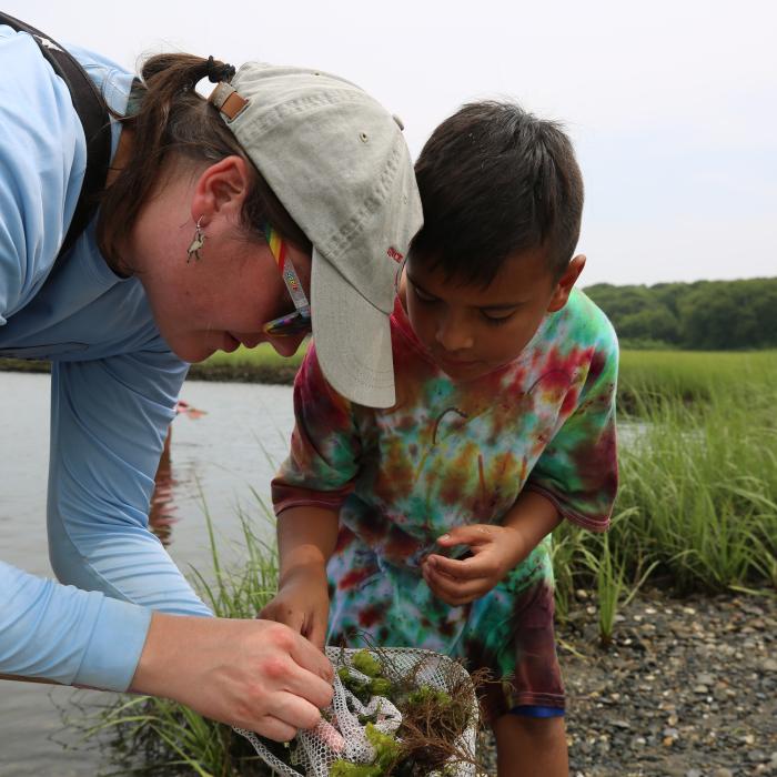 An adult and child examine salt marsh plants and materials along the edge of a marsh.
