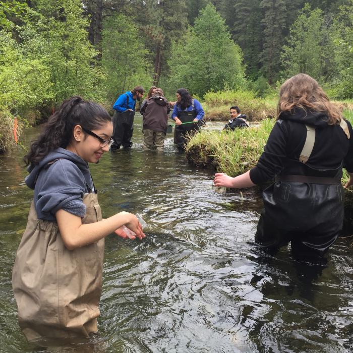Students wearing waders stand in a shallow creek during an outdoor learning activity.