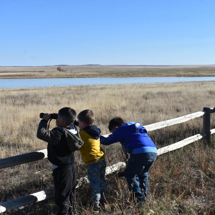 Young students look across wetland habitat from behind a fence, with one student using binoculars.
