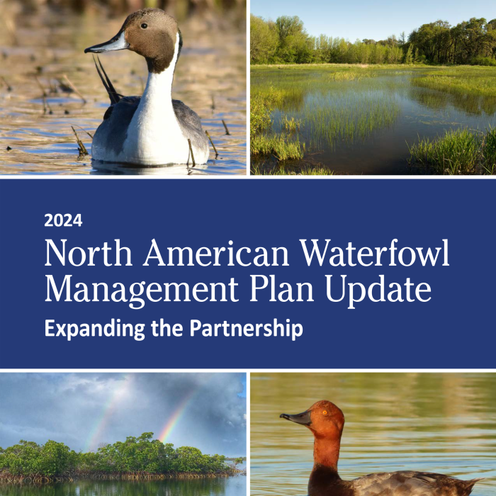 Detail image of the 2024 NAWMP Plan Update Cover