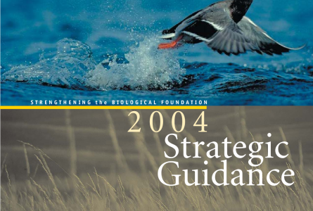 2004 Strategic Guidance - Strengthening the Biological Foundation - North American Waterfowl Management Plan