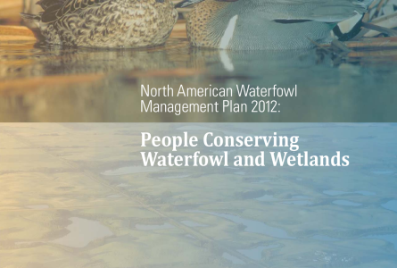 2012 North American Waterfowl Management Plan