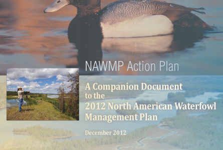Action Plan - A Companion Document to the 2012 North American Waterfowl Management Plan