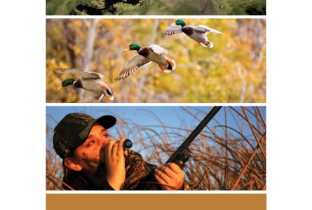 Future of Waterfowl Management Workshop Report