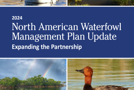 North American Waterfowl Management Plan - 2024 Update