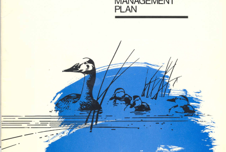 Original 1986 North American Waterfowl Management Plan