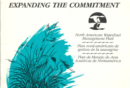 1994 Update to the North American Waterfowl Management Plan: Expanding the Commitment