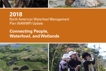 2018 North American Waterfowl Management Plan Update: Connecting People, Waterfowl, and Wetlands