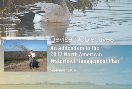 Revised Objectives: An Addendum to the 2012 North American Waterfowl Management Plan