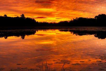 A vivid orange sunset reflected on still wetland water at Governor Thompson State Park in Wisconsin.