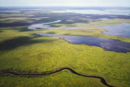 Aerial view of muskeg wetlands, forest and open water across a broad landscape in Saskatchewan, Canada.