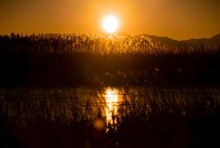 The sun sets over tall wetland grasses and open water.