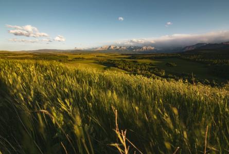 A broad grassland and forest landscape stretches toward mountains beneath an open sky.