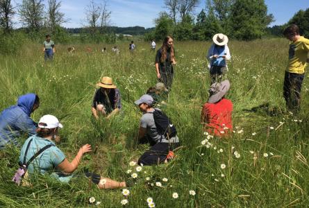 Students and U.S. Fish and Wildlife Service staff gather in a meadow during a land restoration activity at Tualatin River National Wildlife Refuge.