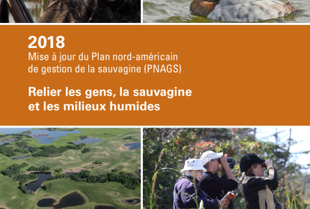 Mise à jour de 2018 du Plan nordaméricain de gestion de la sauvagine : Relier les gens, la sauvagine et les milieux humides