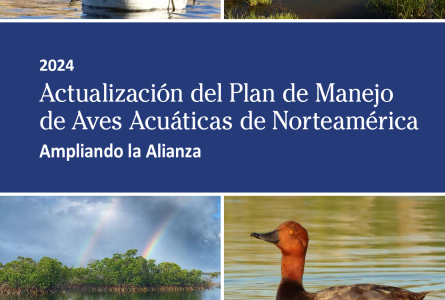 2024 Actualización del Plan de Manejo de Aves Acuáticas de Norteamérica