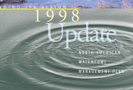 Cover Art for 1998 NAWMP Update